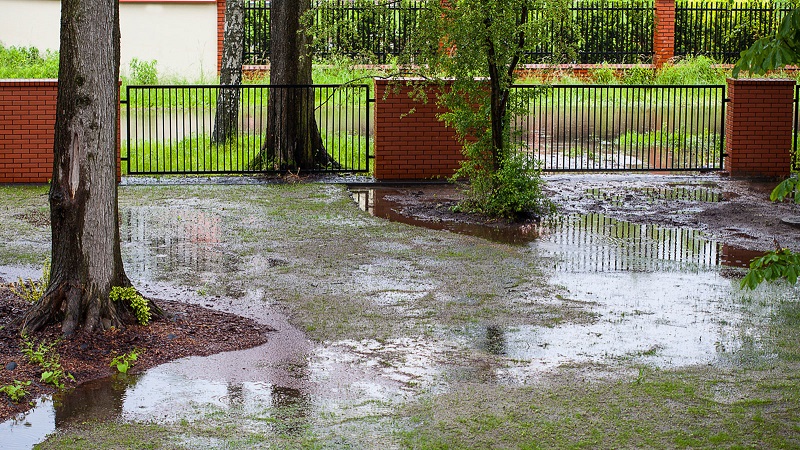 Why Does My Landscape Garden Keep Flooding?